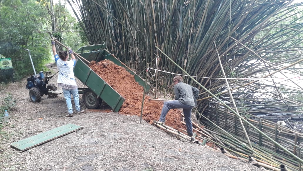 Balneário Camboriú recupera área de Parque Natural usando técnica com bambus, estaquias de hibiscos e samambaia do mangue