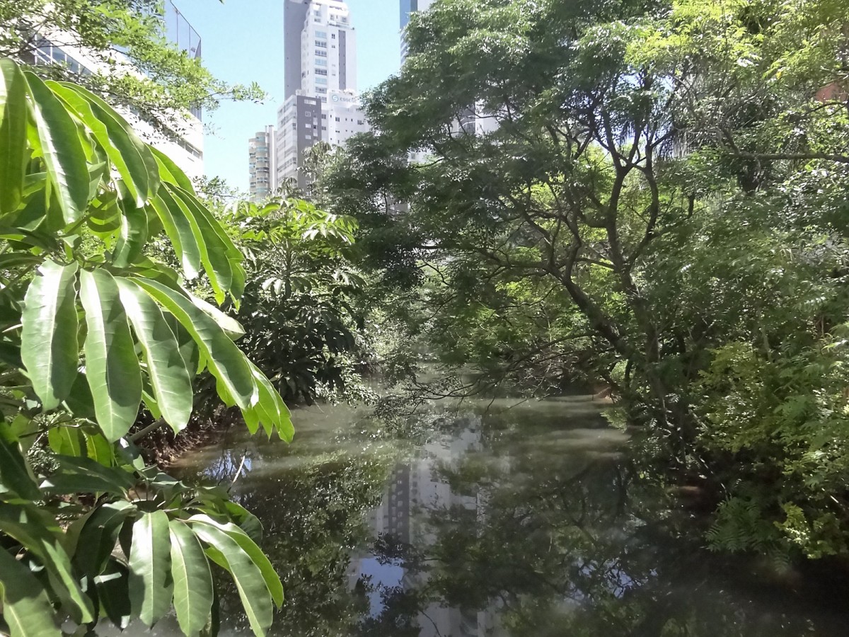 Balneário Camboriú tem projetos para o parque linear do Canal Marambaia