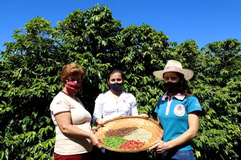 Projeto Mulheres do Café aumenta produção no Paraná