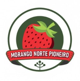 Morango do Norte Pioneiro do Paraná conquista Indicação Geográfica de Procedência