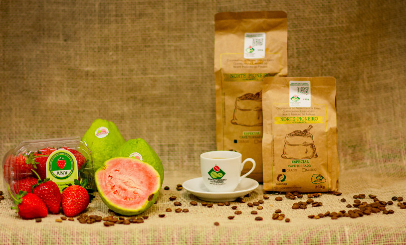 Ficafé apresenta produtos diferenciados do agronegócio