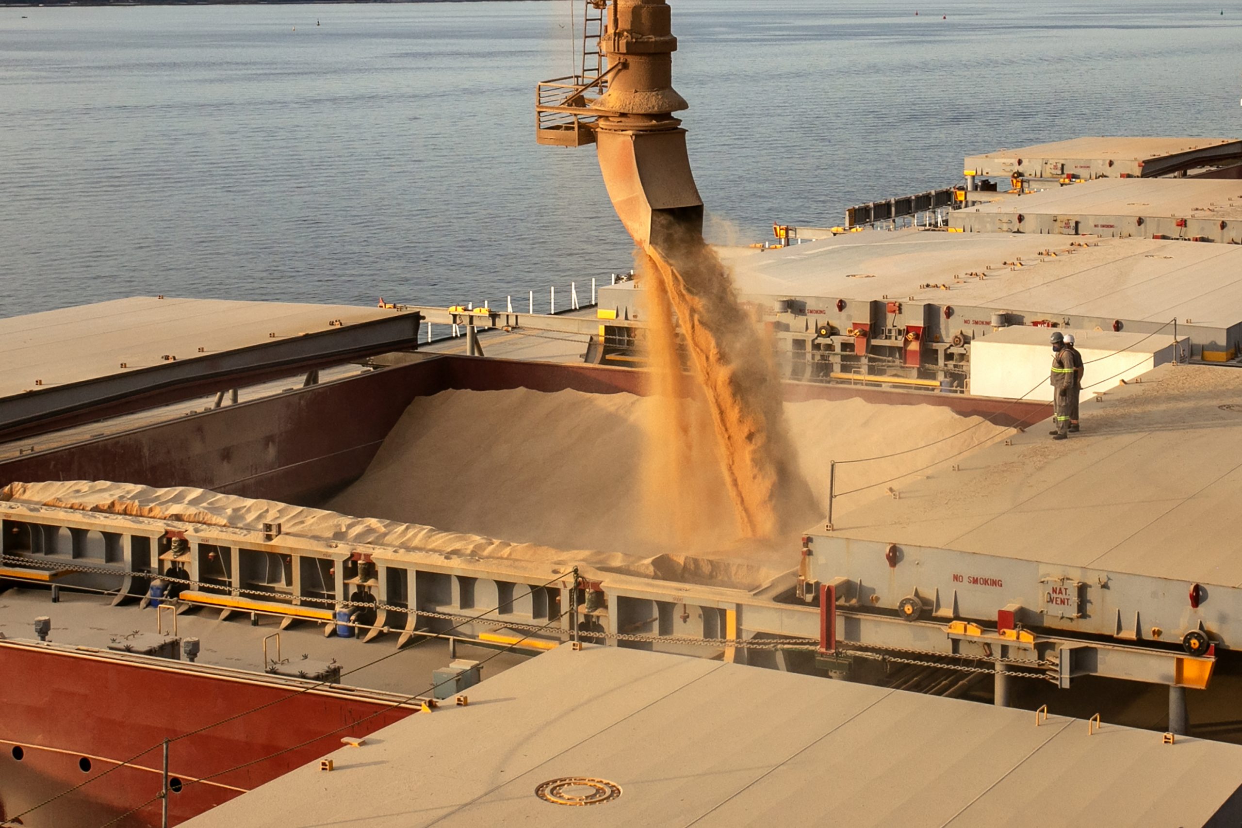 Porto prevê exportar 6,6 milhões de toneladas de grãos e farelo de soja até o final do ano