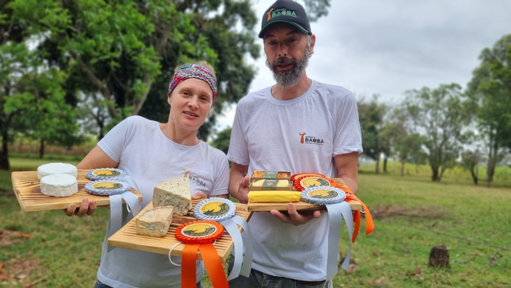 Queijo do Paraná conquista sete medalhas no mundial do queijo