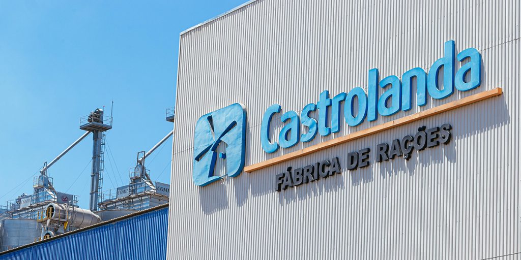 Fábrica de rações da Castrolanda bate o recorde de produção em 2021