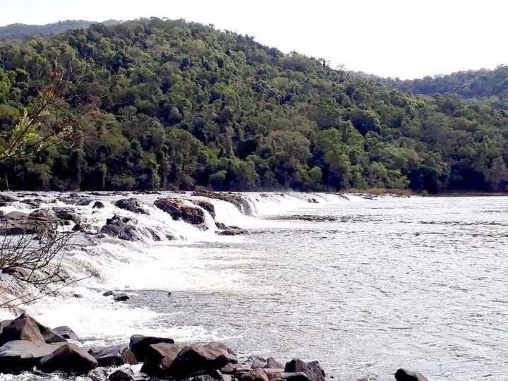 Comitê de Bacias Hidrográficas do Rio Tibagi: eleição para novos membros