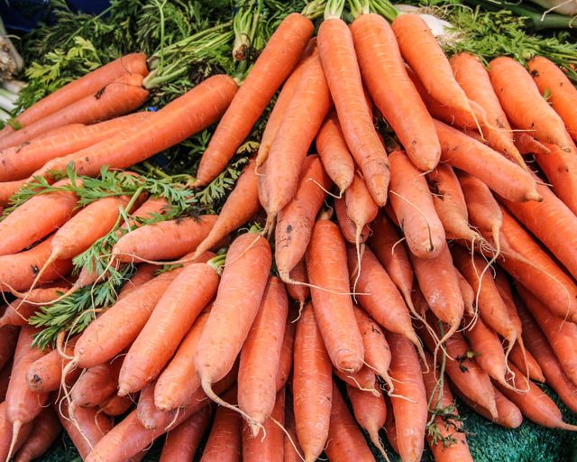 Quase metade da produção de cenoura no Paraná vem de Marilândia do Sul