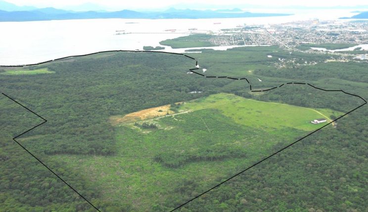 Porto Guará, o novo terminal marítimo de Paranaguá, terá 21 km de trilhos