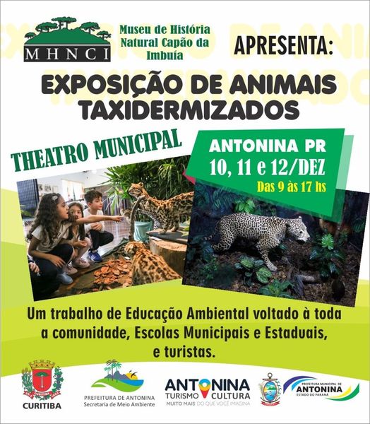 Atração em Antonina: exposição de animais taxidermizados