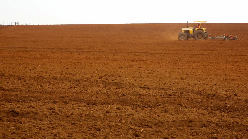 Paraná tem a melhor classificação do Brasil em potencialidade agrícola