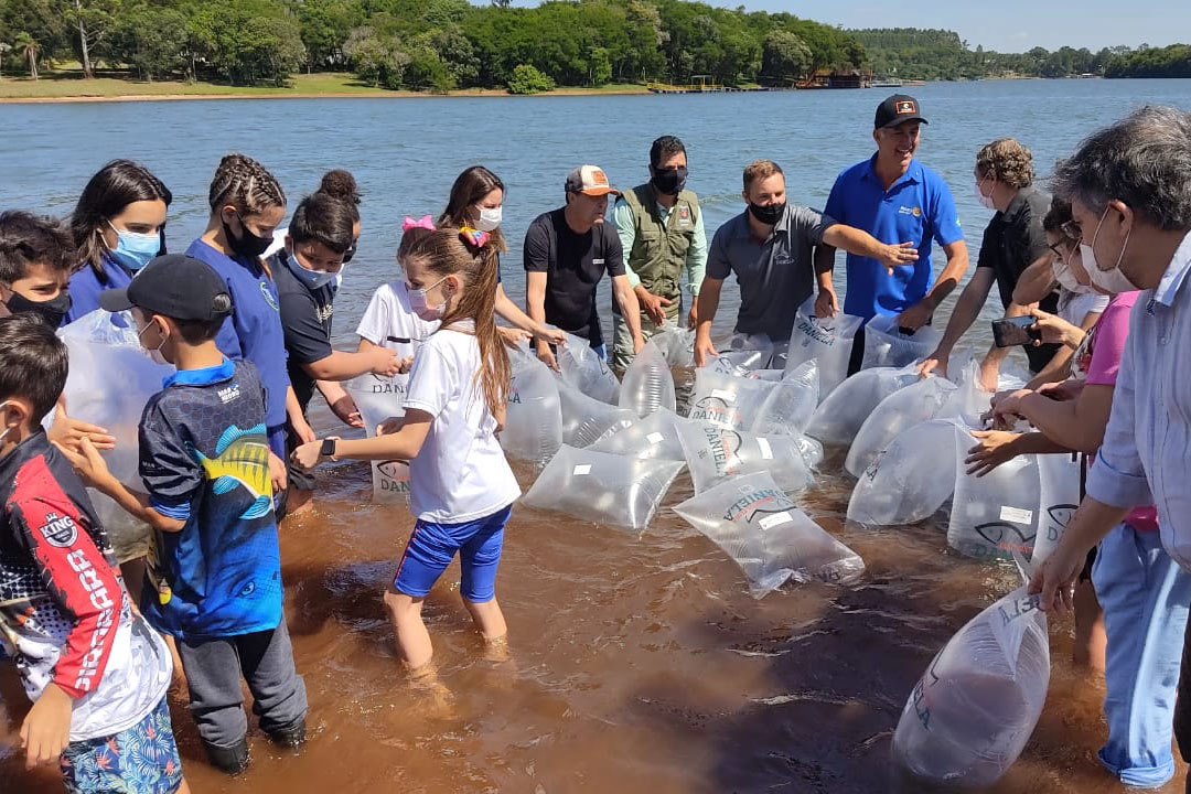 Em programa estadual de repovoamento, Rio Mourão recebe 300 mil novos peixes