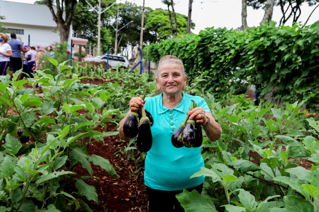 Programa Horta Solidária já abrange 40 regiões de Apucarana