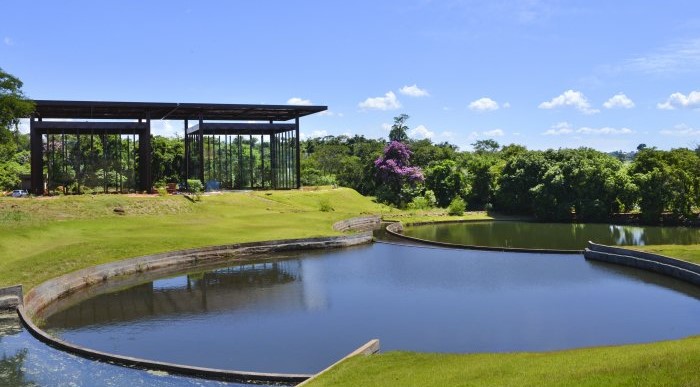 Projetos para o Jardim Botânico de Londrina