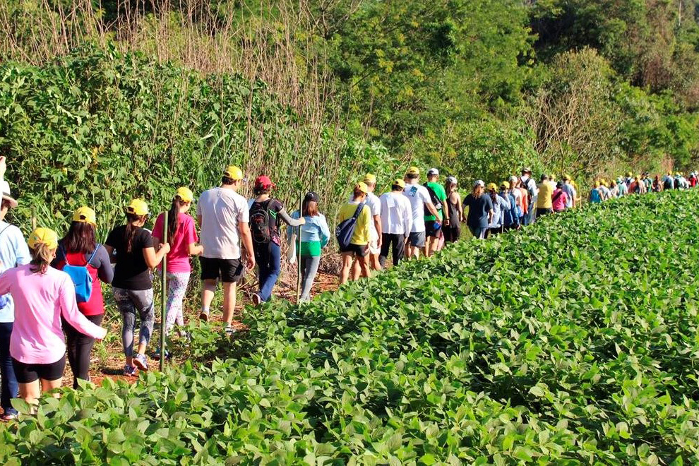 Turismo no campo: 56 mil pessoas participaram das Caminhadas na Natureza em 2022 no Paraná