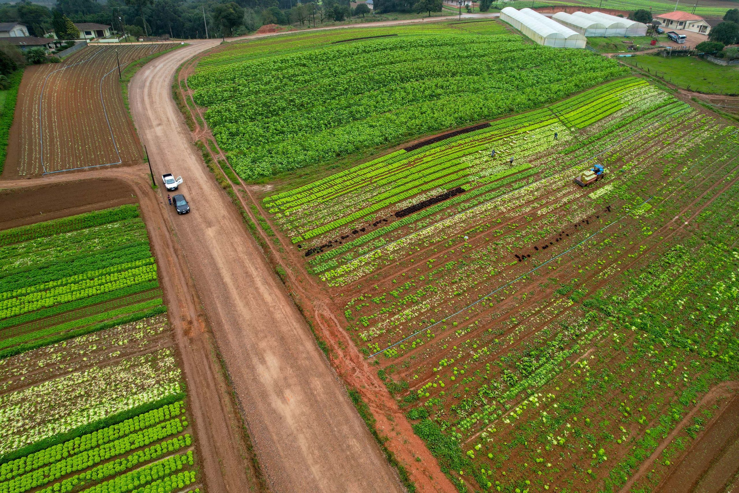 Paraná incrementa agricultura e turismo em São José dos Pinhais 