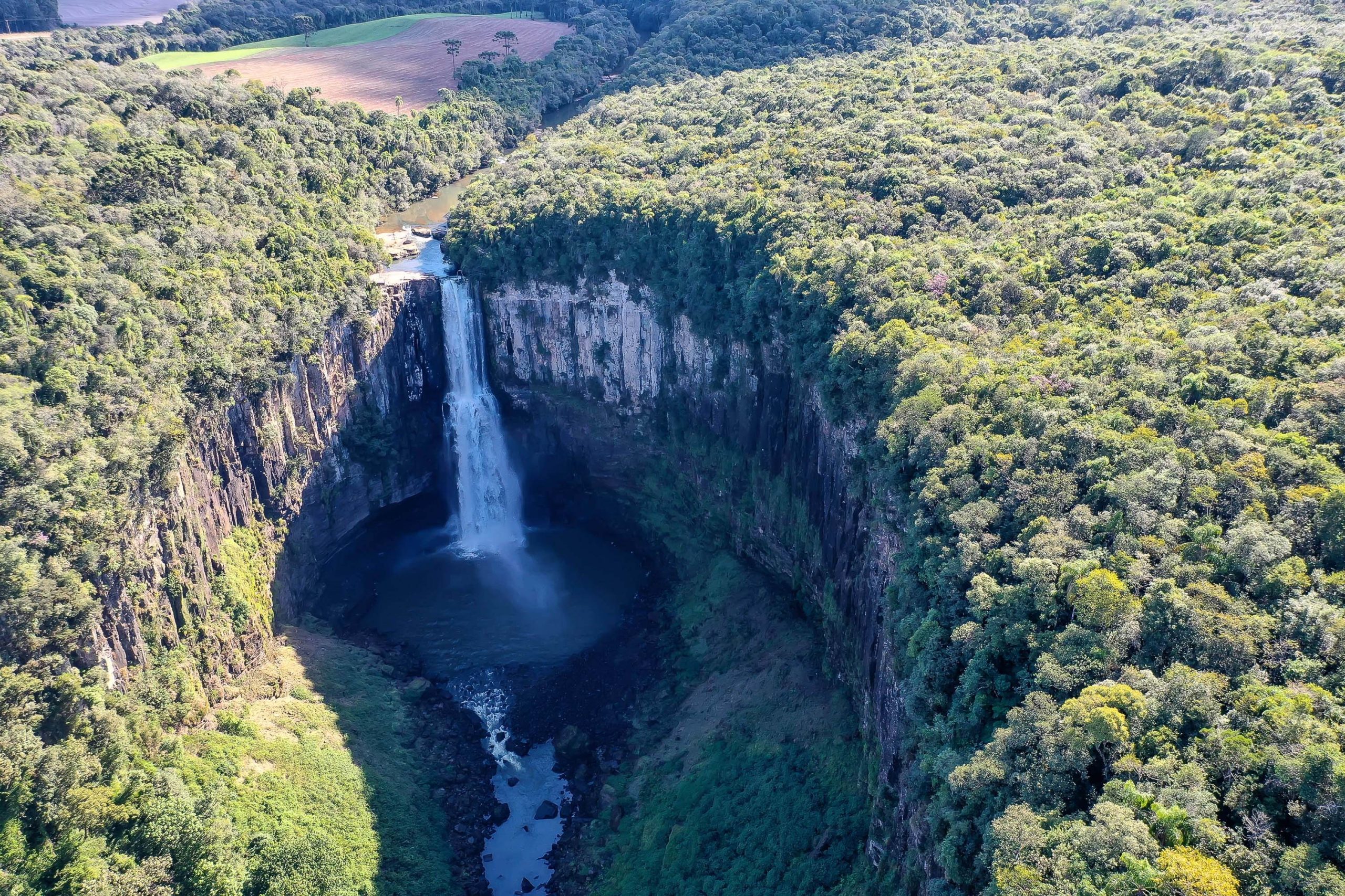Patrimônio natural: Paraná tem 26,2 mil km² de Unidades de Conservação 