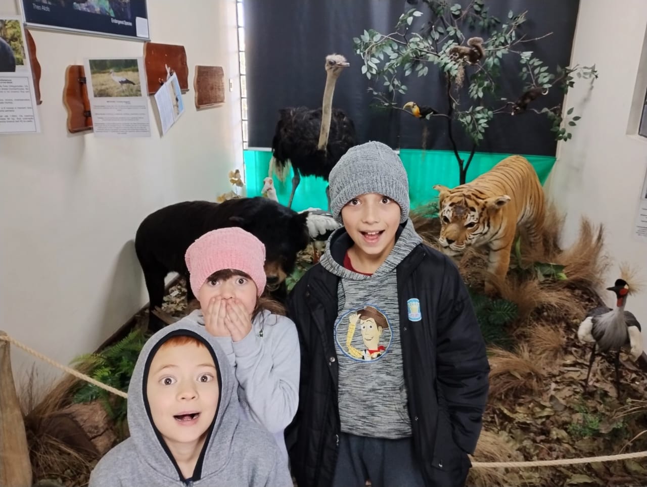 Museu de História Natural de Curitiba: para as crianças arregalarem os olhos