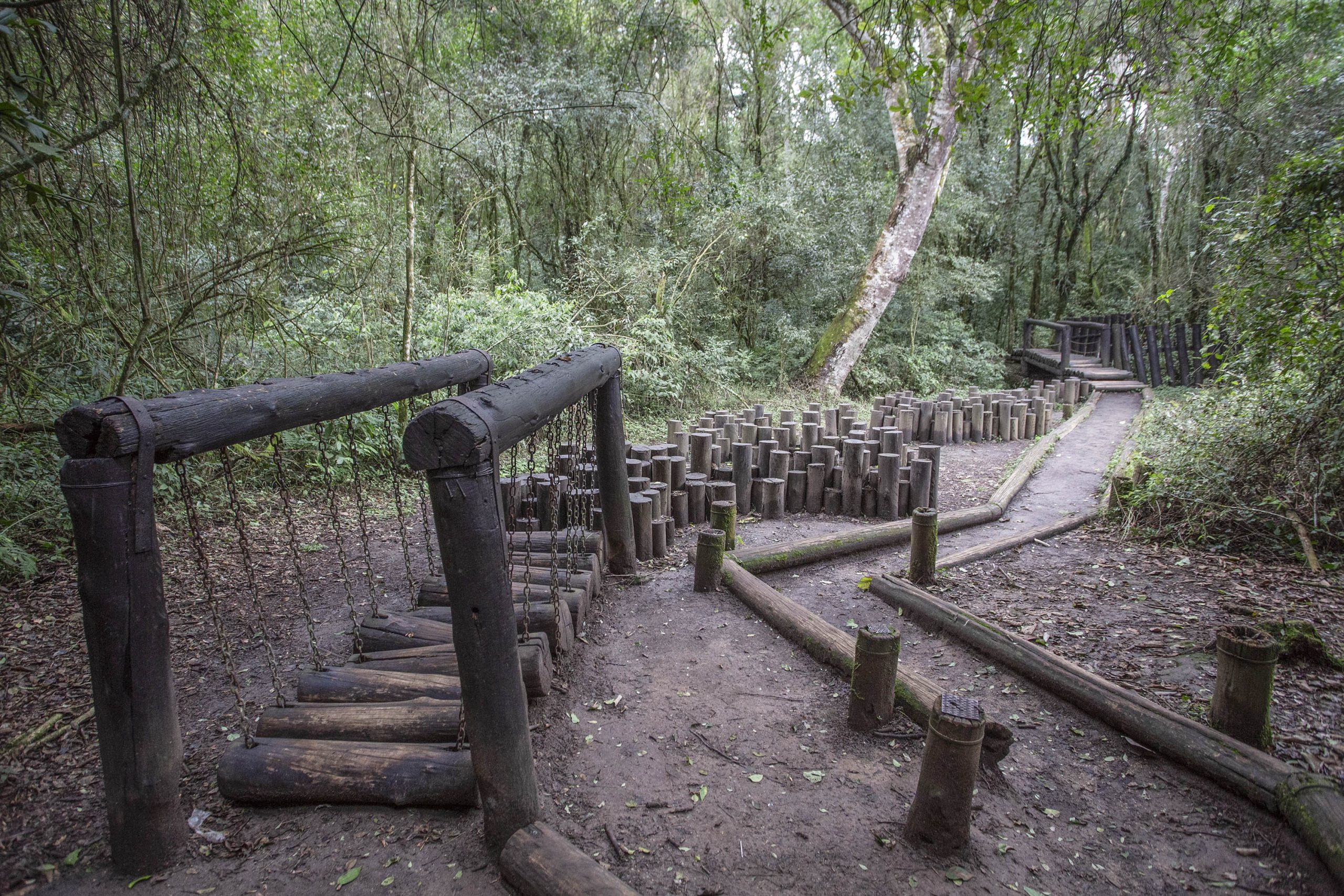 Bosque Reinhard Maack une trilha e arborismo no meio da natureza de Curitiba