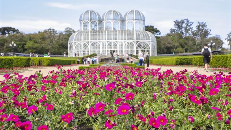 Jardim Botânico de Curitiba vai se cobrir de 100 mil petúnias para o Outubro Rosa