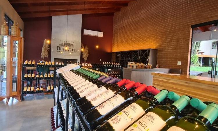 Profissionalização faz vinhos do Paraná ganharem destaque nacional
