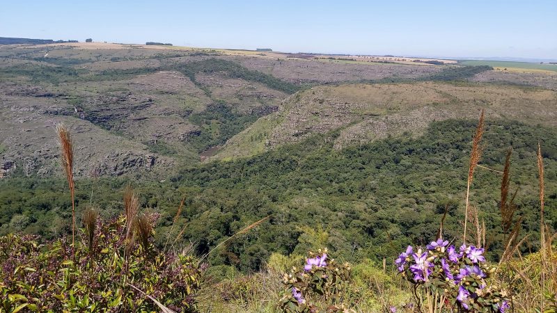 Paraná tem 55 mil hectares em Reservas Particulares de Patrimônio Natural