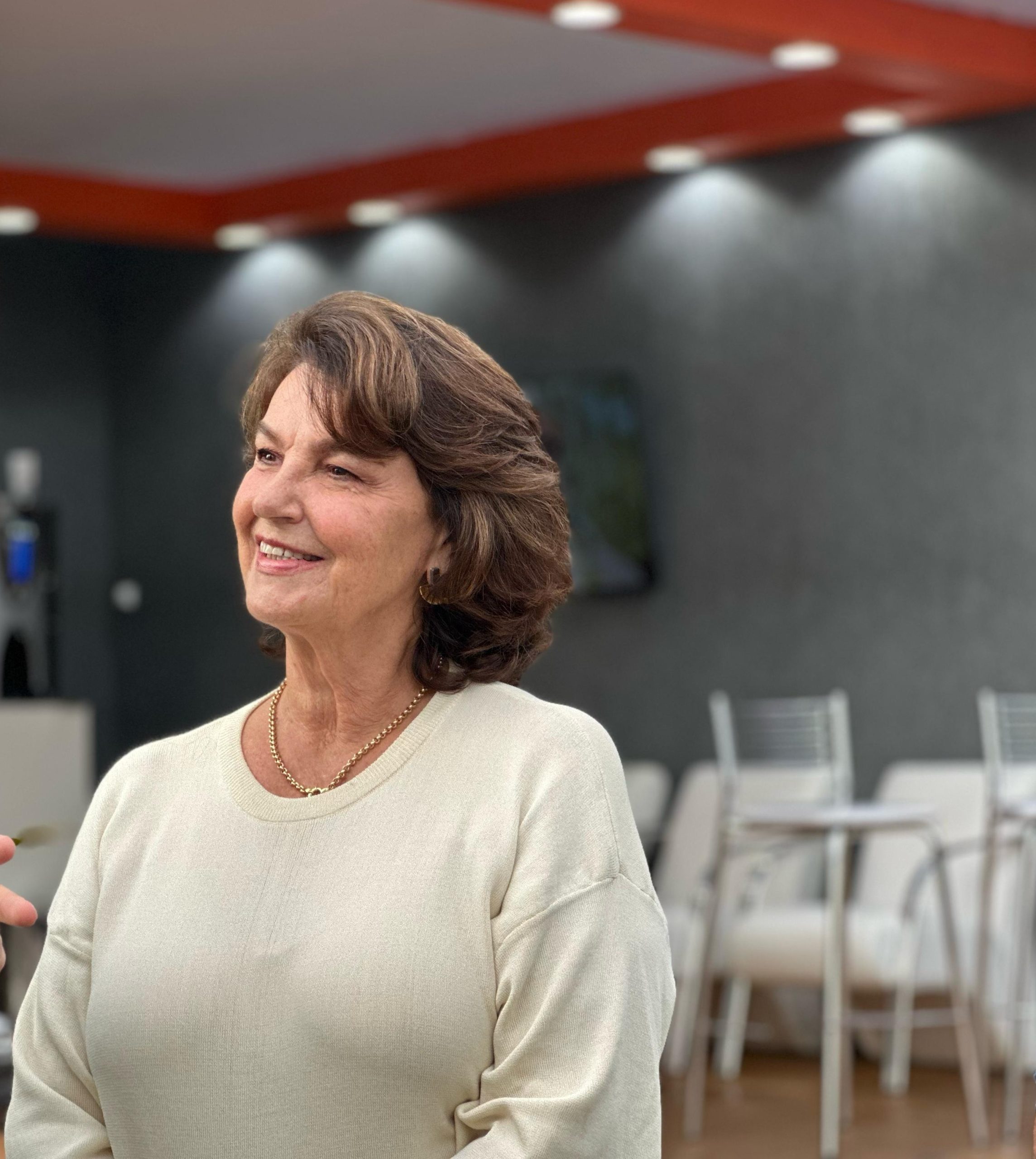 Deputada Cristina Silvestri comemora lançamento do sistema online para pedido de medida protetiva no Paraná