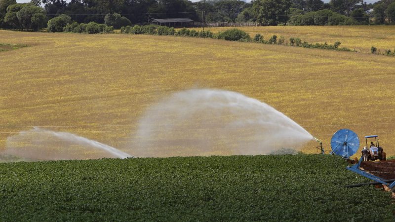Com 7,8 mil projetos, Banco do Agricultor já liberou R$ 1 bilhão para produtores rurais
